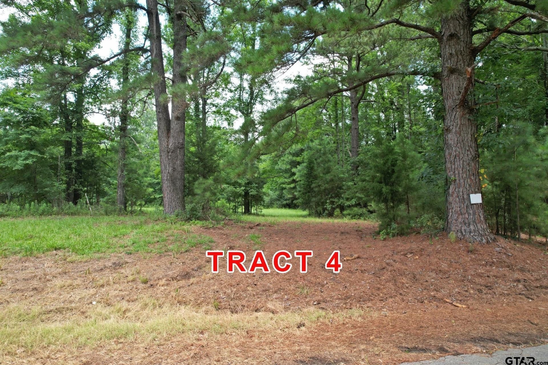 5.5 acres in Red River County - photo 3
