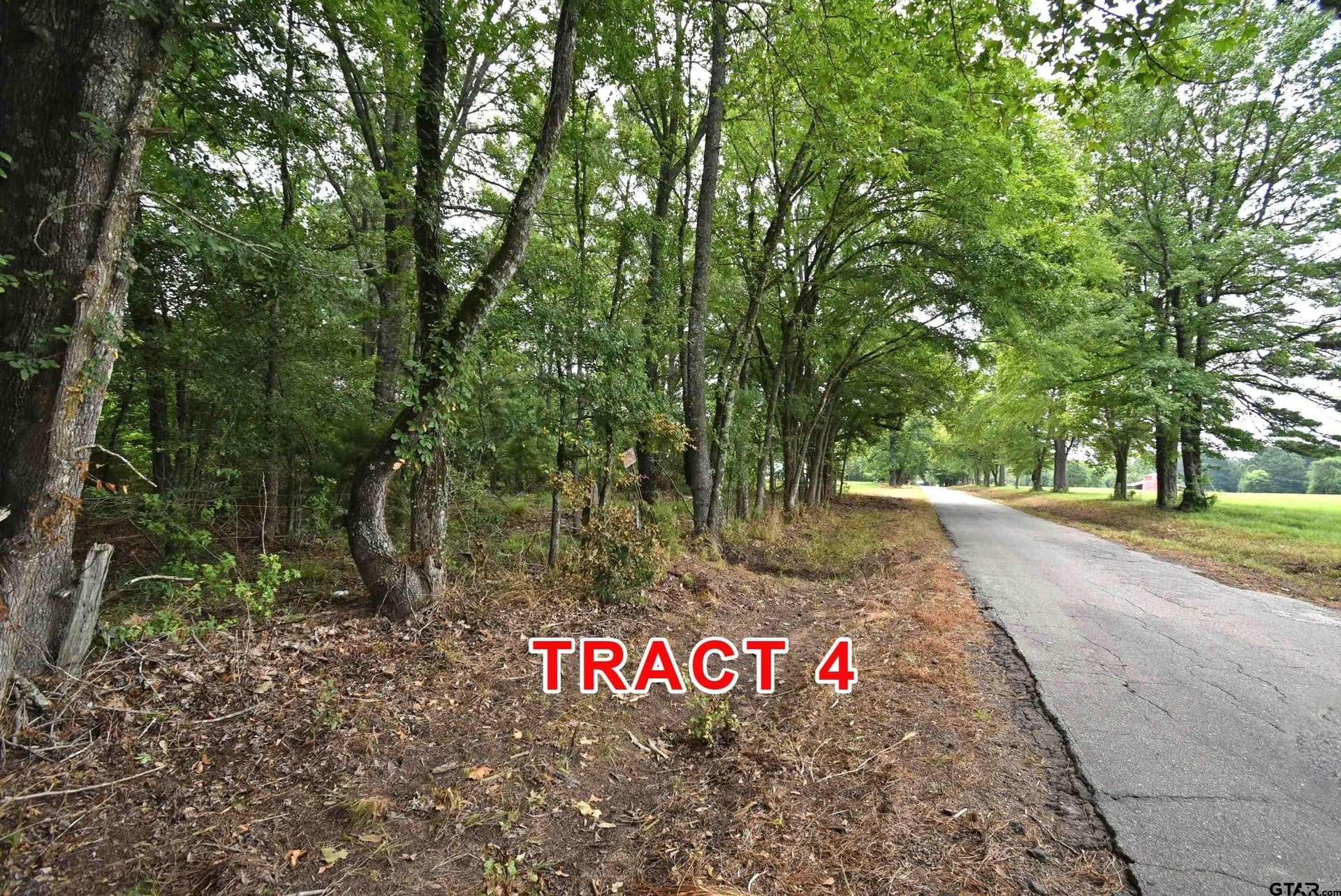 5.5 acres in Red River County - photo 2