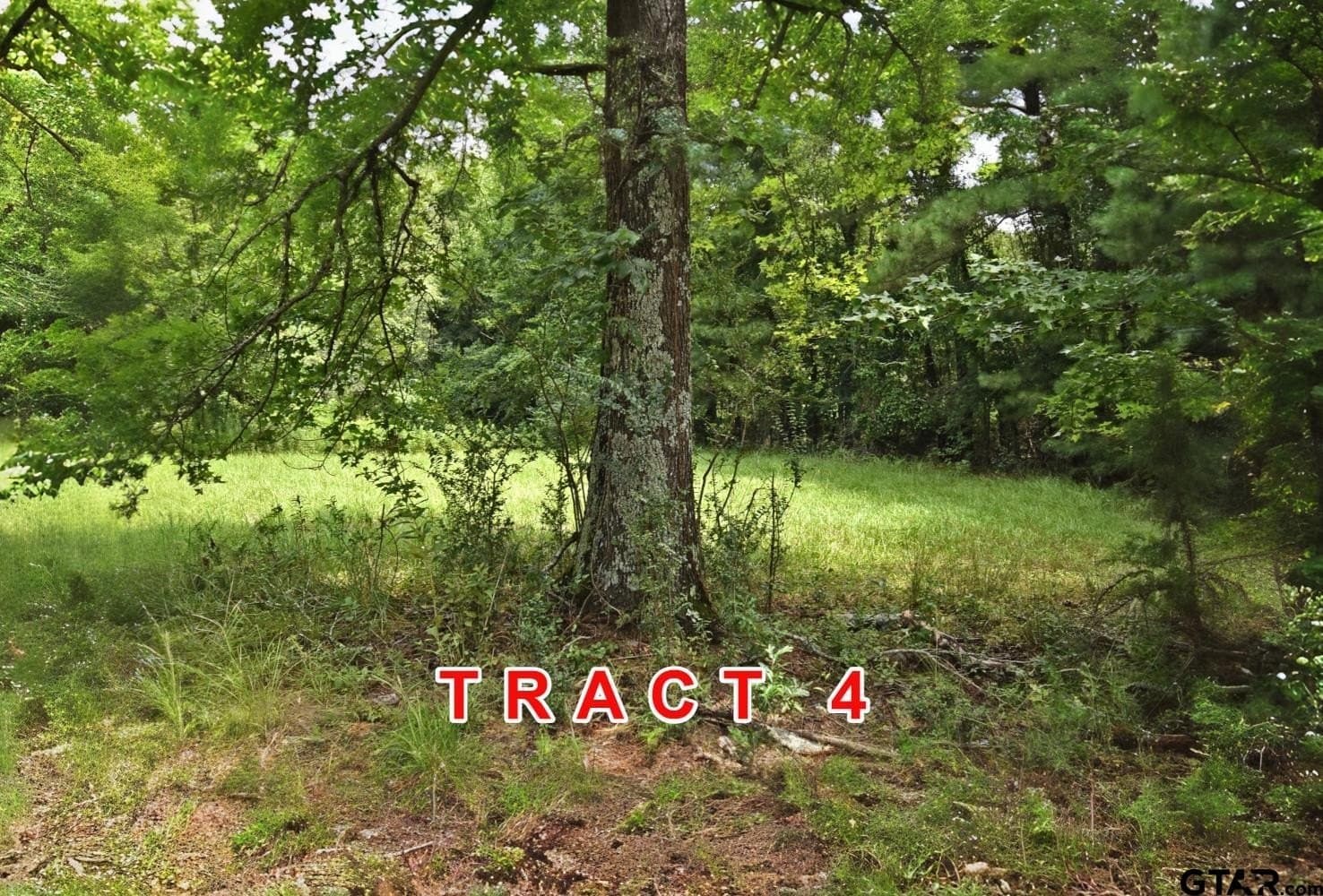 5.5 acres in Red River County - photo 4
