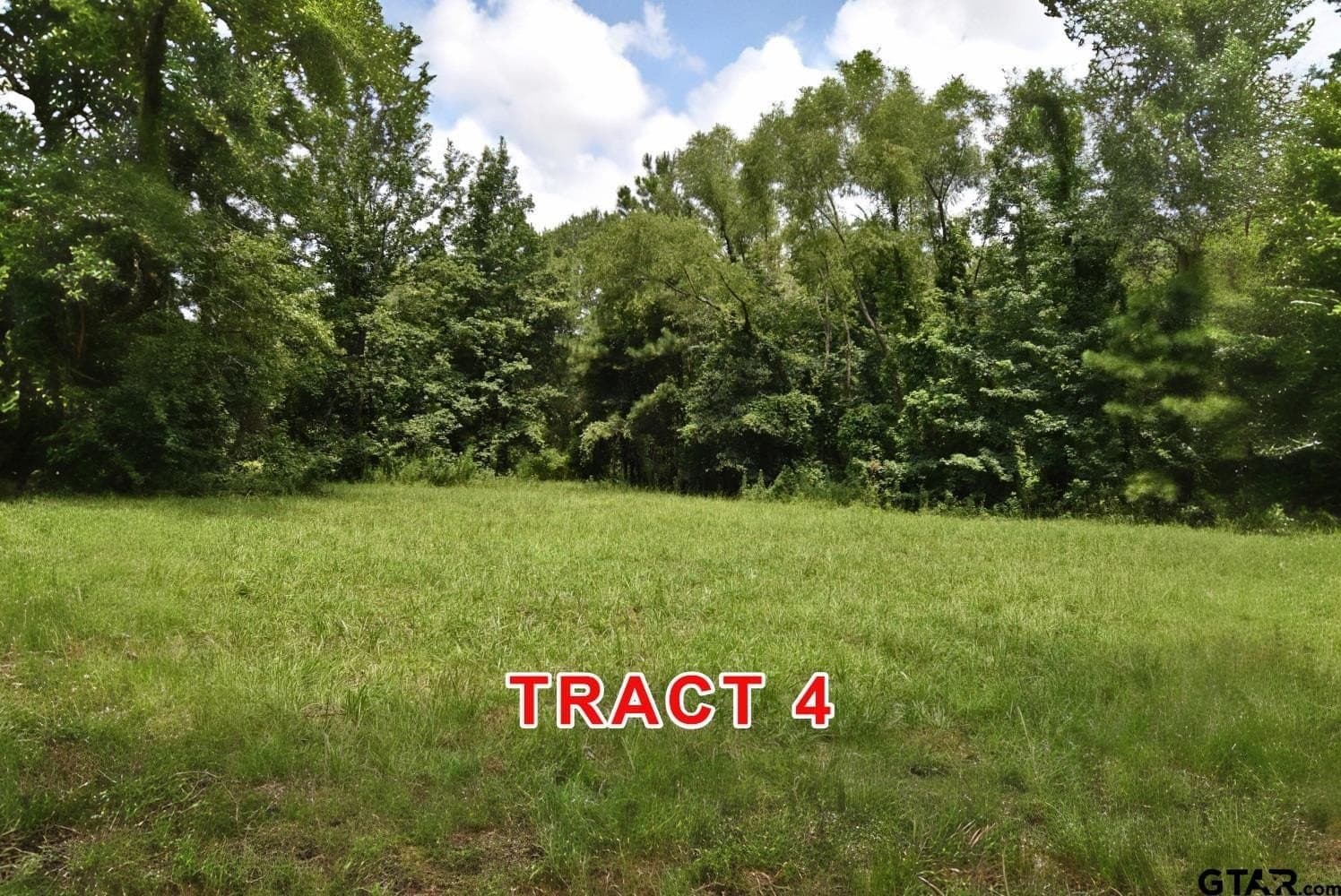 5.5 acres in Red River County - photo 5