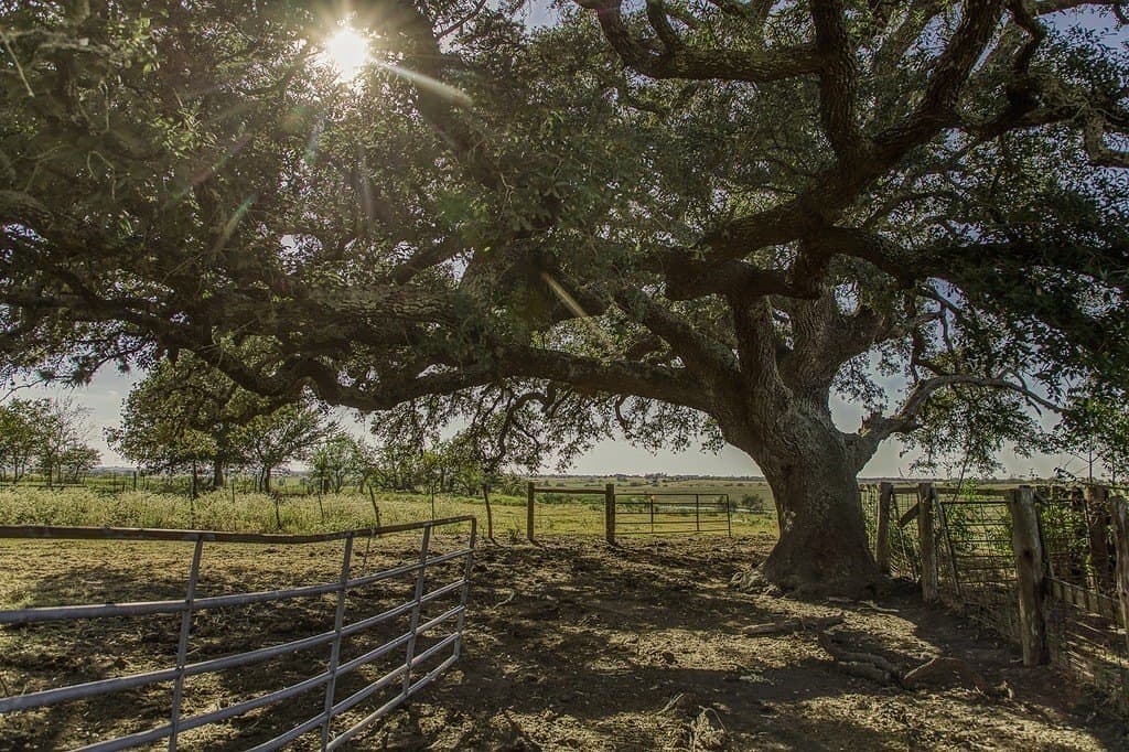 75.03 acres in Washington County featured view
