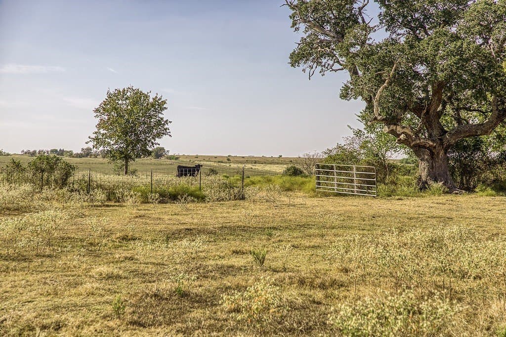 75.03 acres in Washington County gallery image 3