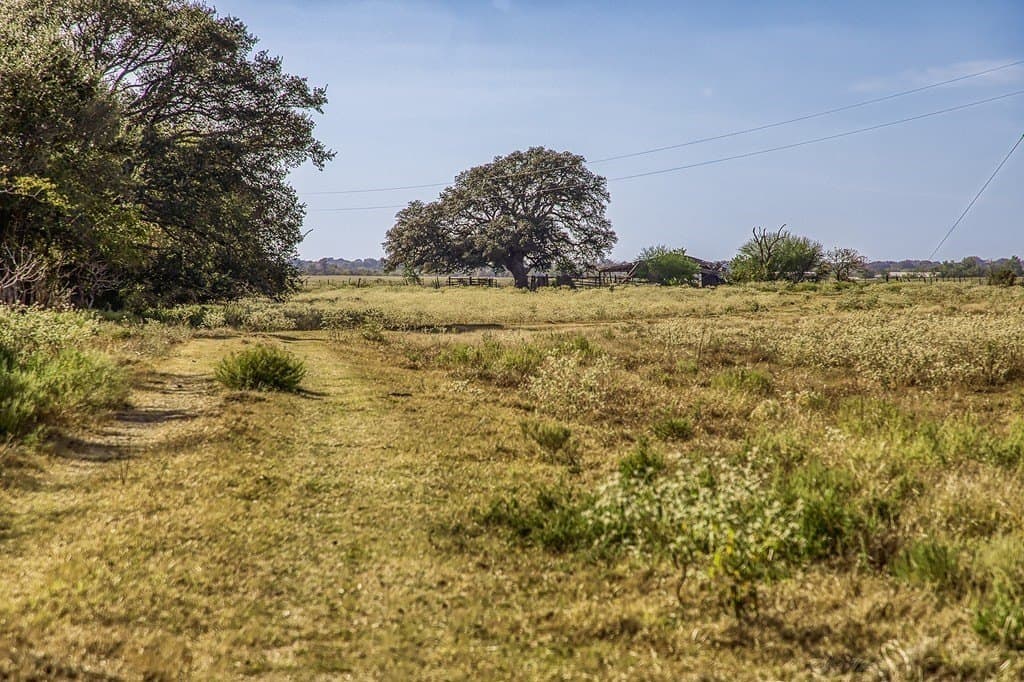 75.03 acres in Washington County gallery image 2