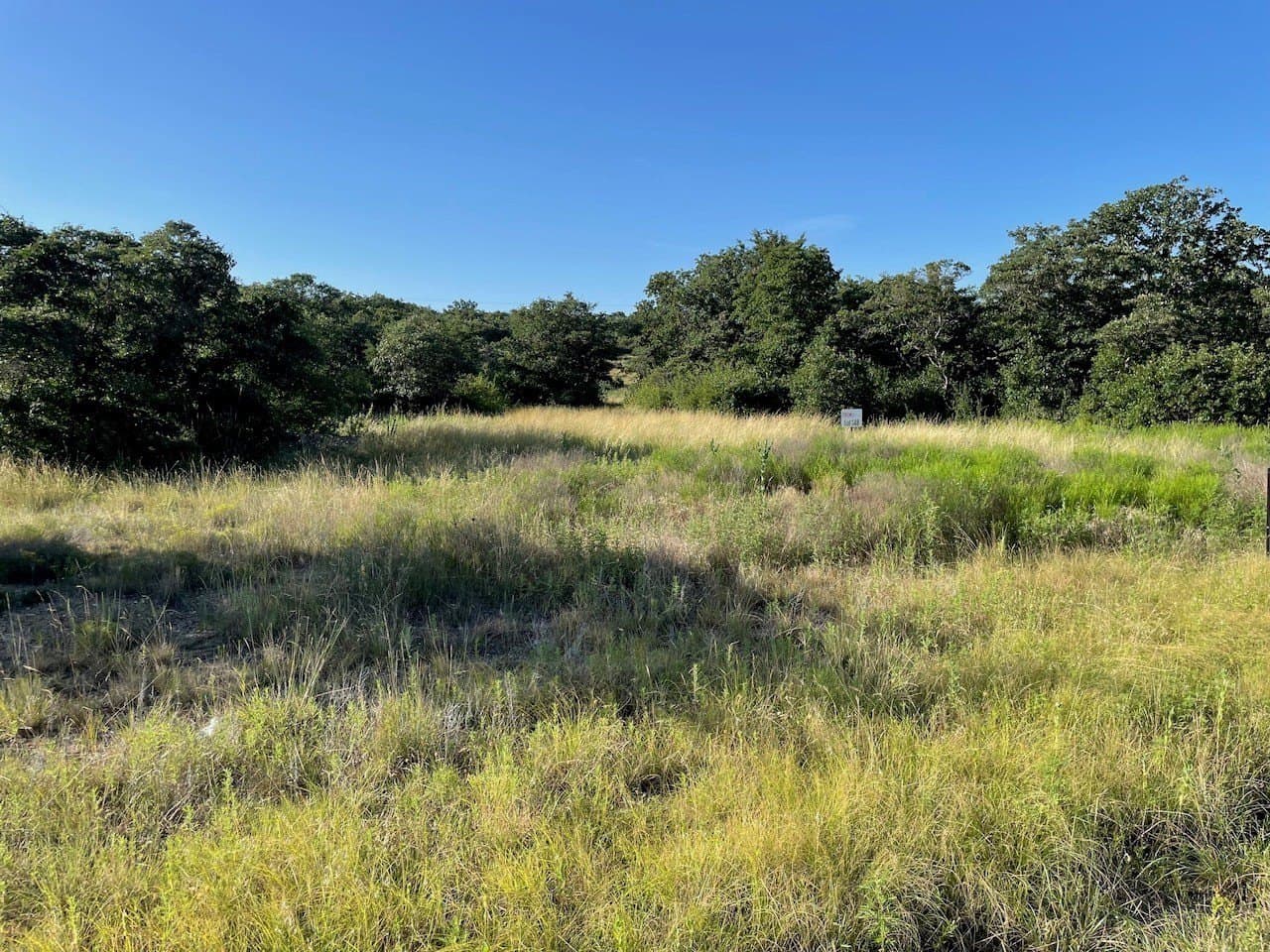 1.4 acres in Eastland County - photo 3