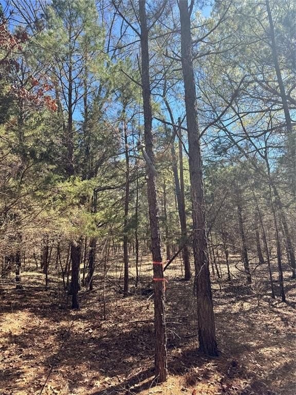 31 acres in Smith County gallery image 2