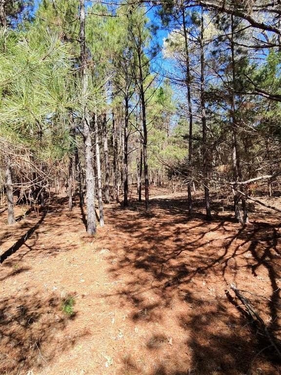 31 acres in Smith County gallery image 3