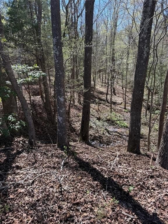 31 acres in Smith County gallery image 4