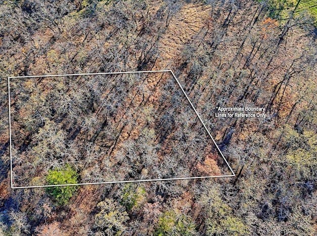 0.28 acres in Montague County - photo 22