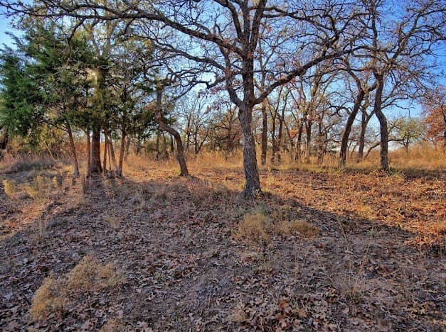 0.28 acres in Montague County - photo 6