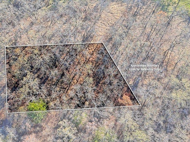 0.28 acres in Montague County - photo 21