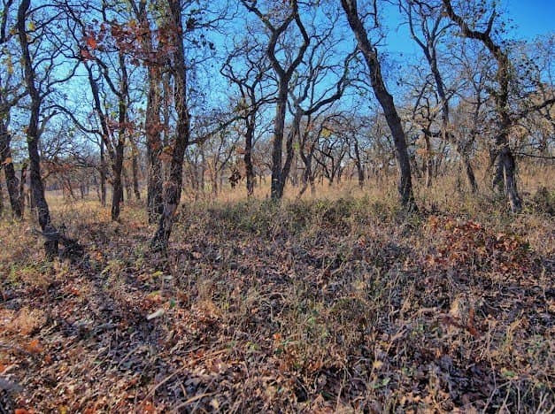 0.28 acres in Montague County - photo 7