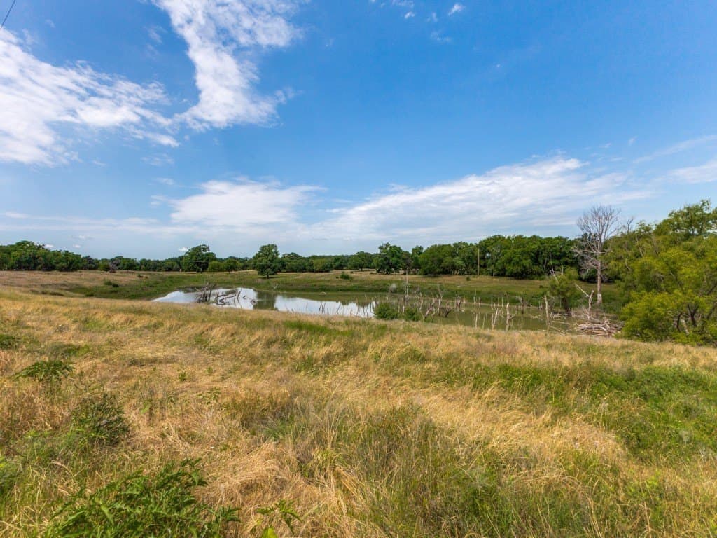 29.5 acres in Dallas County - photo 24