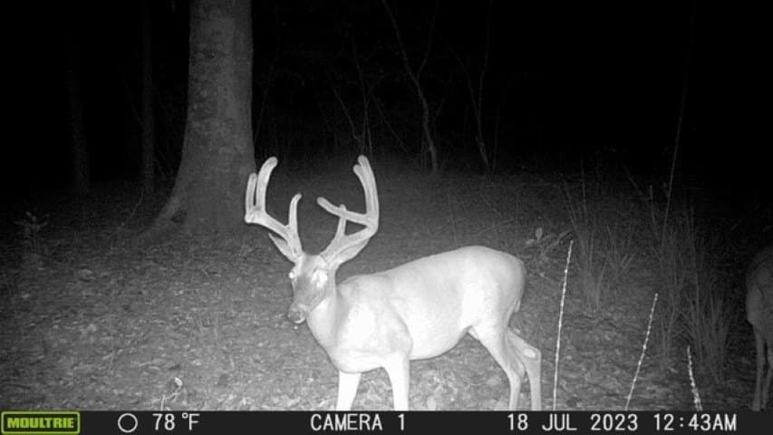 26.48 acres in San Augustine County - photo 3