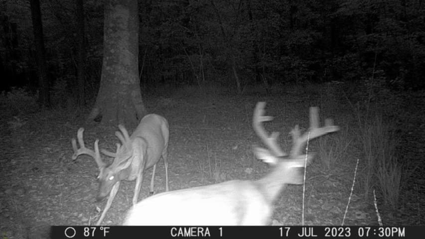 26.48 acres in San Augustine County - photo 3