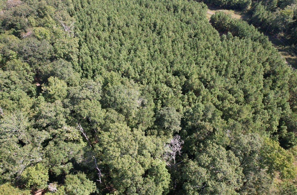 26.48 acres in San Augustine County - photo 17