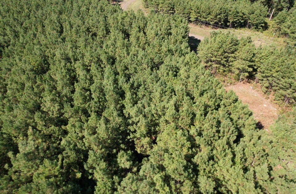 26.48 acres in San Augustine County - photo 14