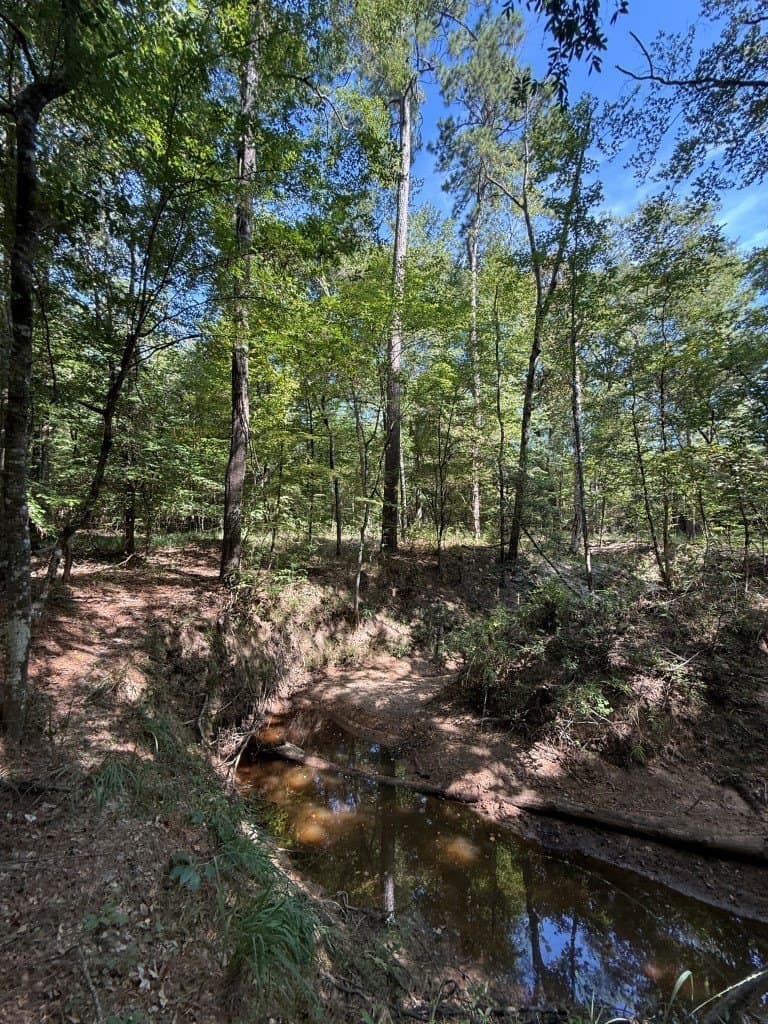26.48 acres in San Augustine County - photo 24