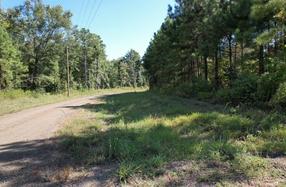 26.48 acres in San Augustine County - photo 8
