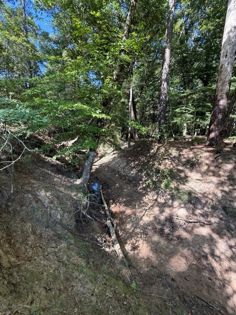 26.48 acres in San Augustine County - photo 23