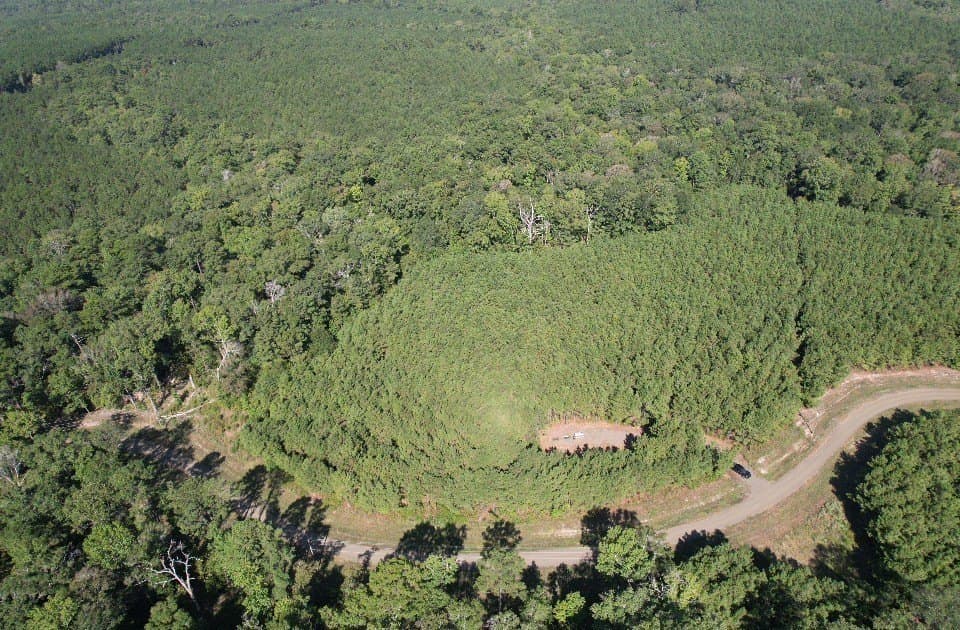 26.48 acres in San Augustine County - photo 15