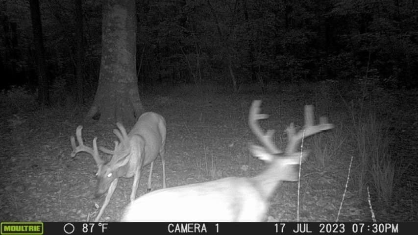 26.48 acres in San Augustine County - photo 4