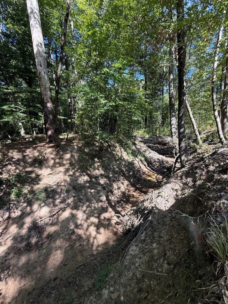 26.48 acres in San Augustine County - photo 22