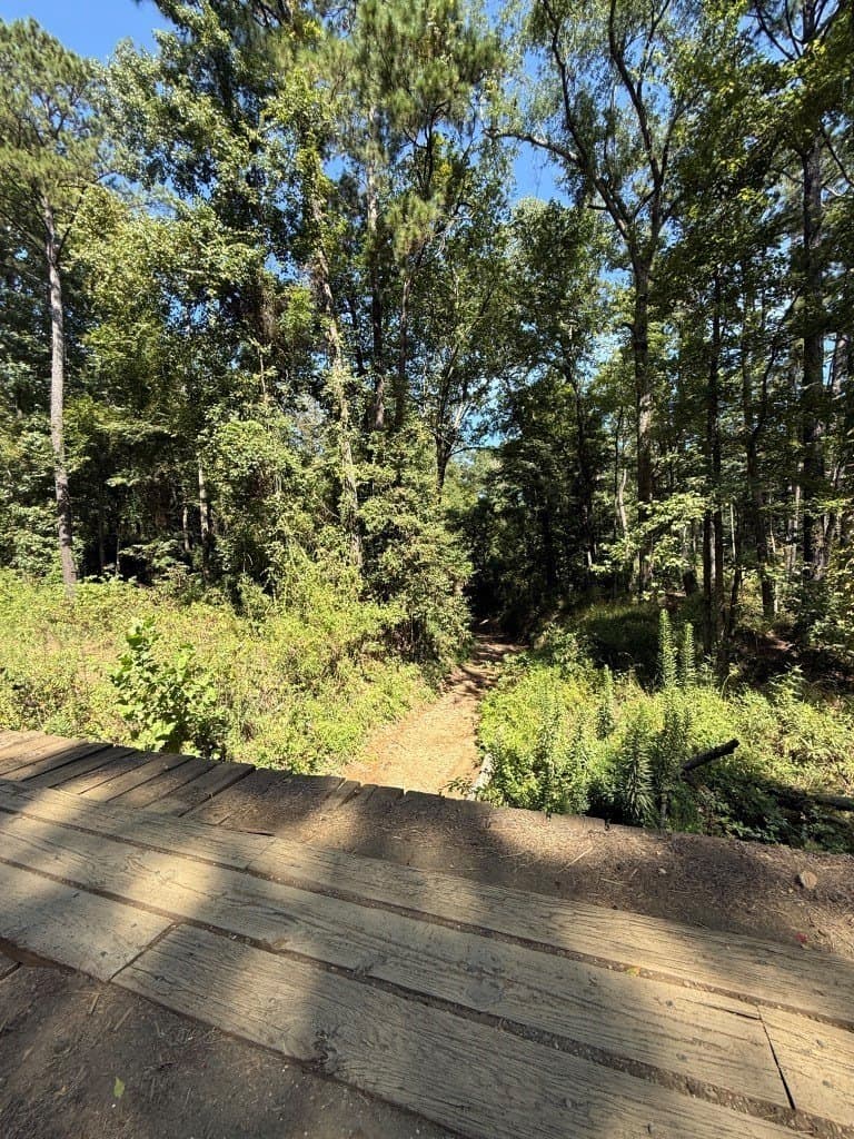 26.48 acres in San Augustine County - photo 31