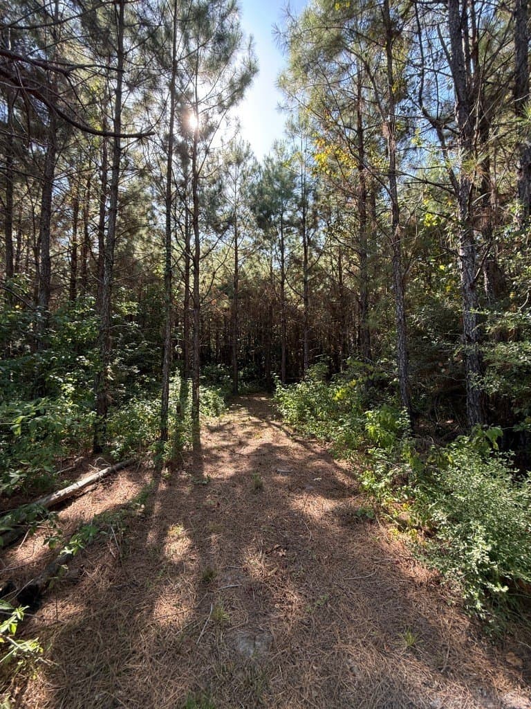 26.48 acres in San Augustine County