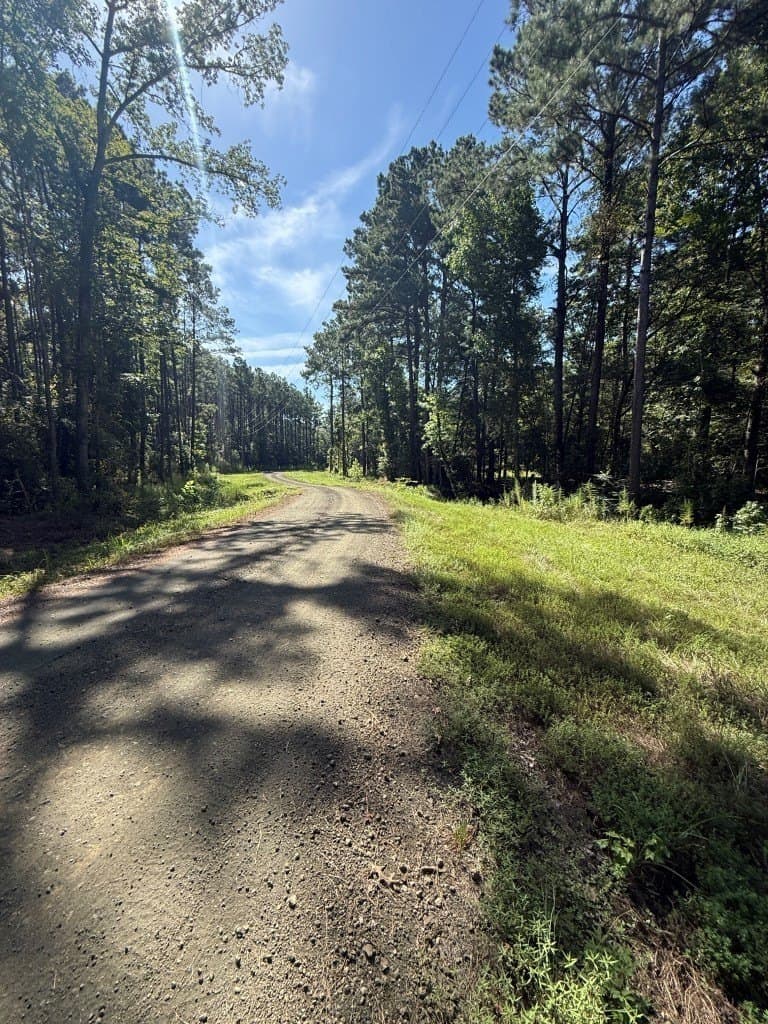 26.48 acres in San Augustine County - photo 21
