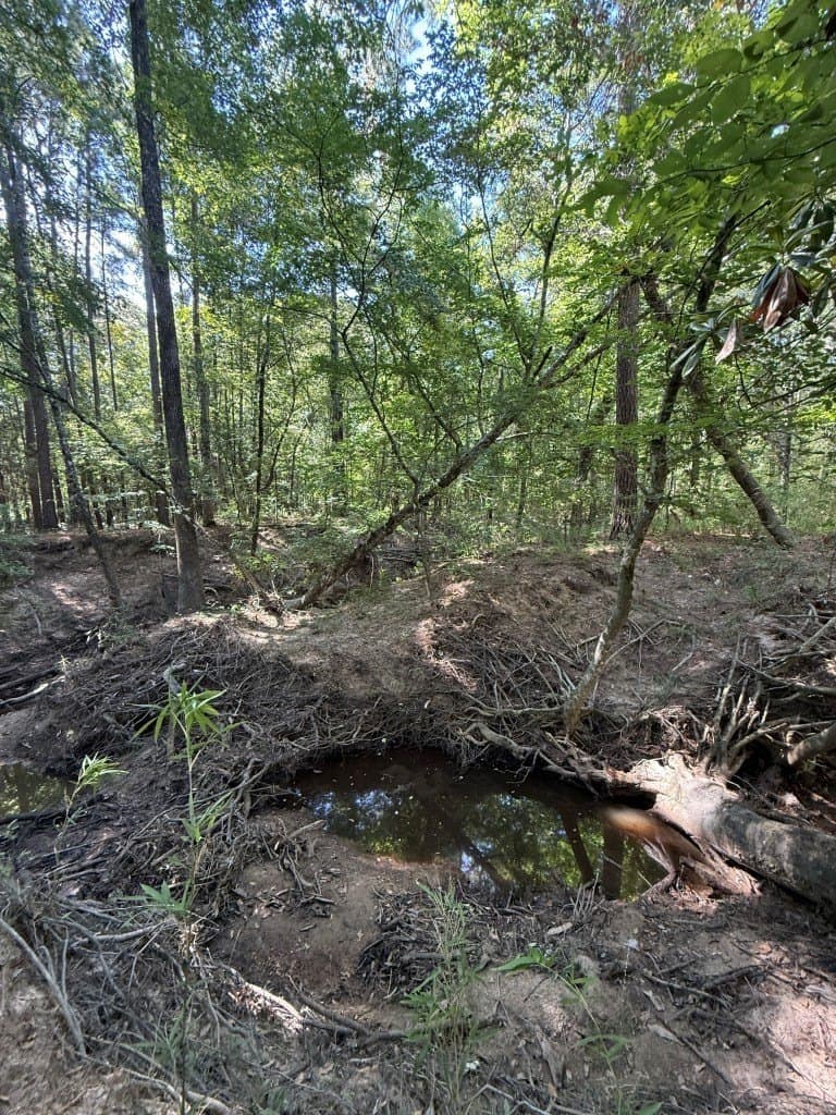 26.48 acres in San Augustine County - photo 28