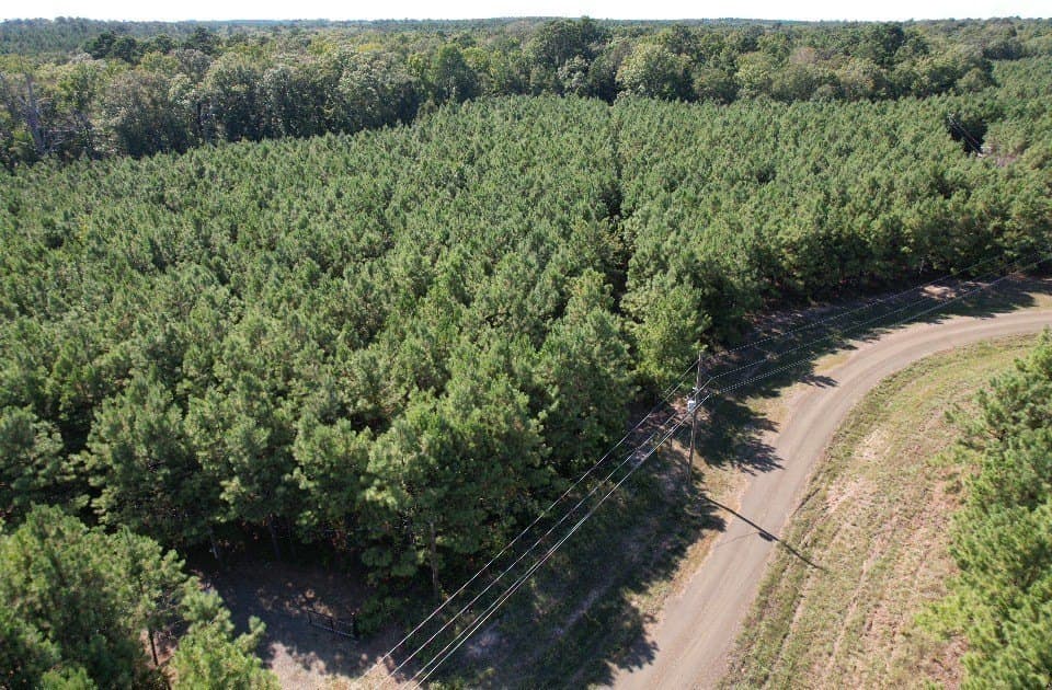 26.48 acres in San Augustine County - photo 10