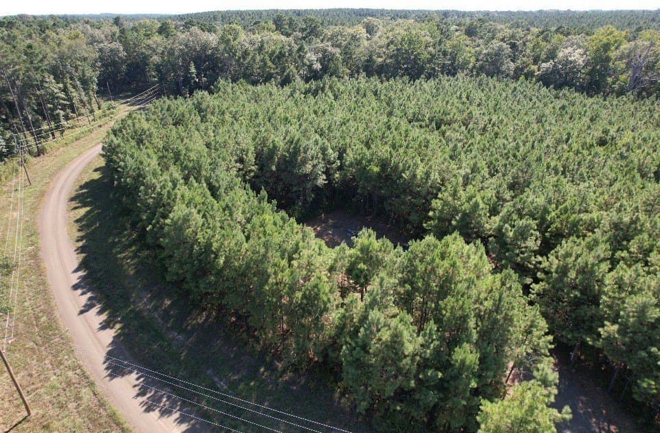26.48 acres in San Augustine County - photo 11