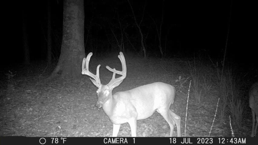 26.48 acres in San Augustine County - photo 4