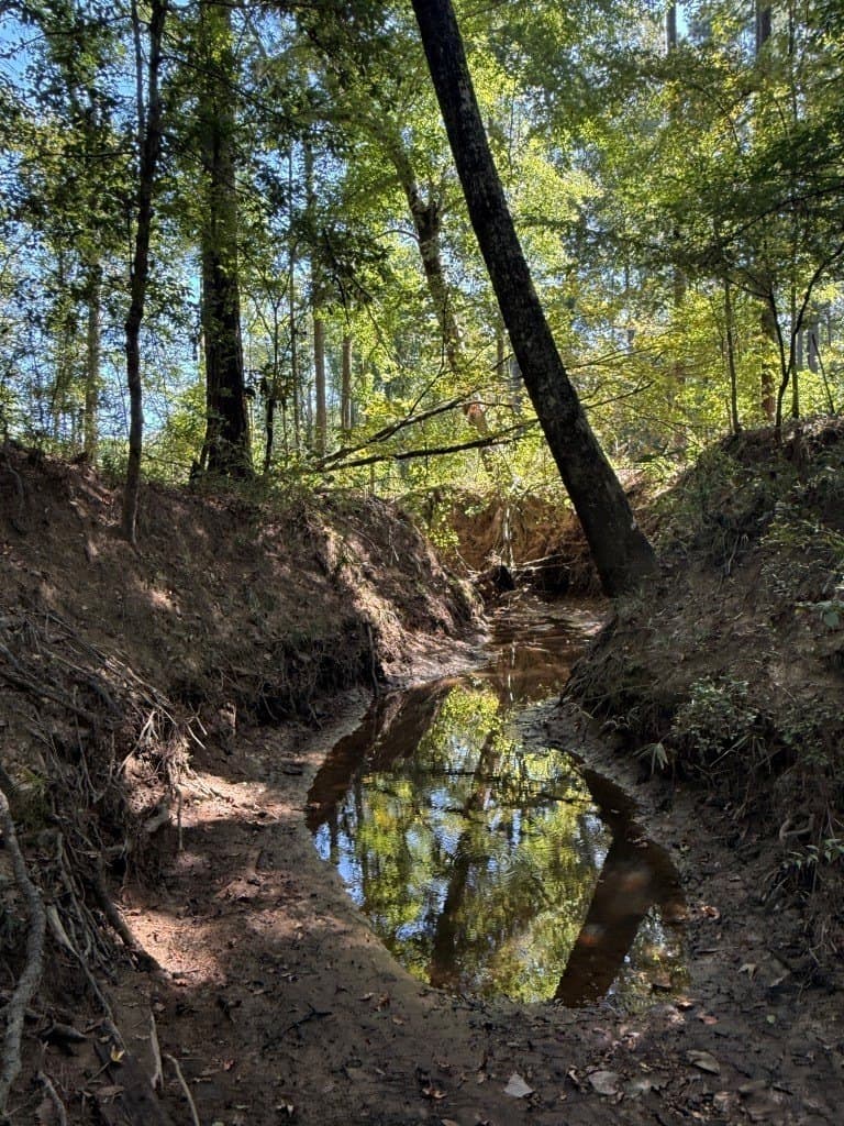 26.48 acres in San Augustine County - photo 27