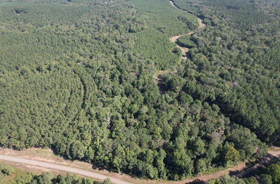 26.48 acres in San Augustine County - photo 16
