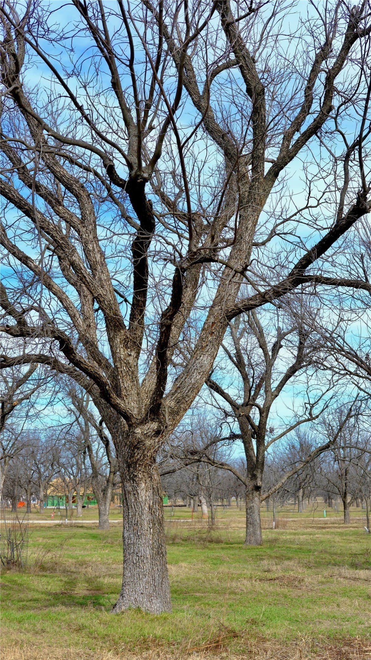 1 acres in Hood County - photo 7