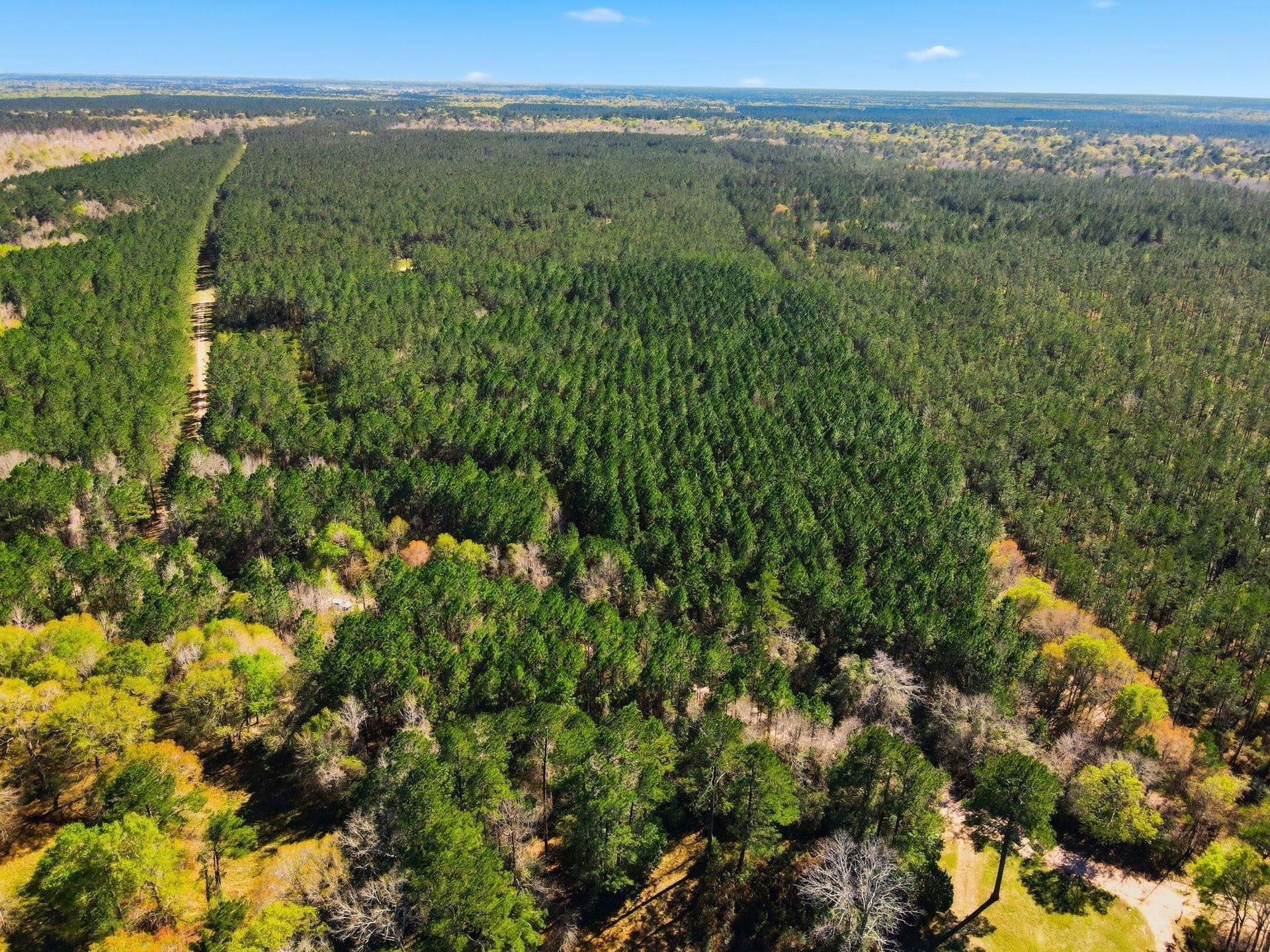 231.96 acres in Texas County - photo 2