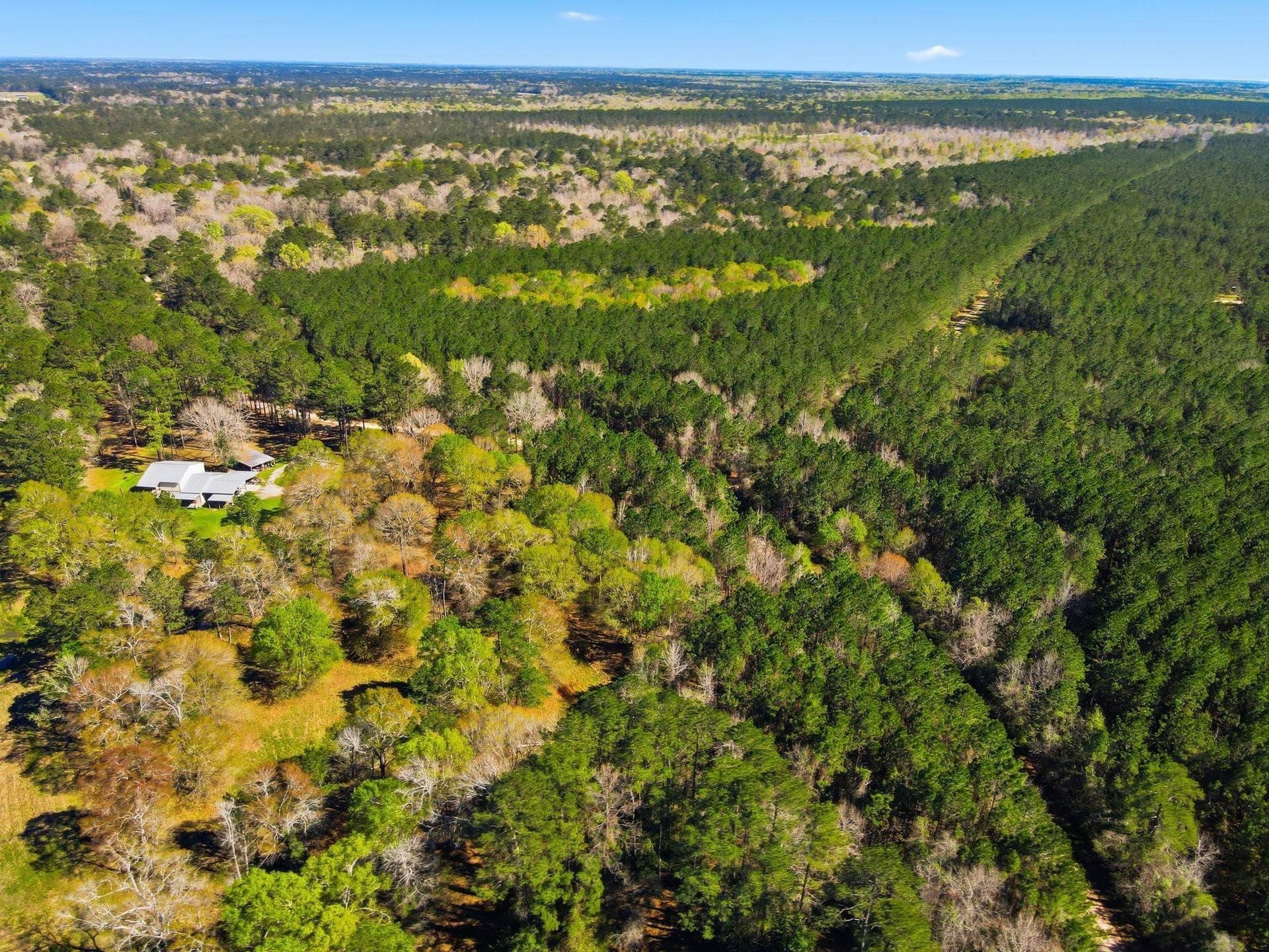 231.96 acres in Texas County - photo 8