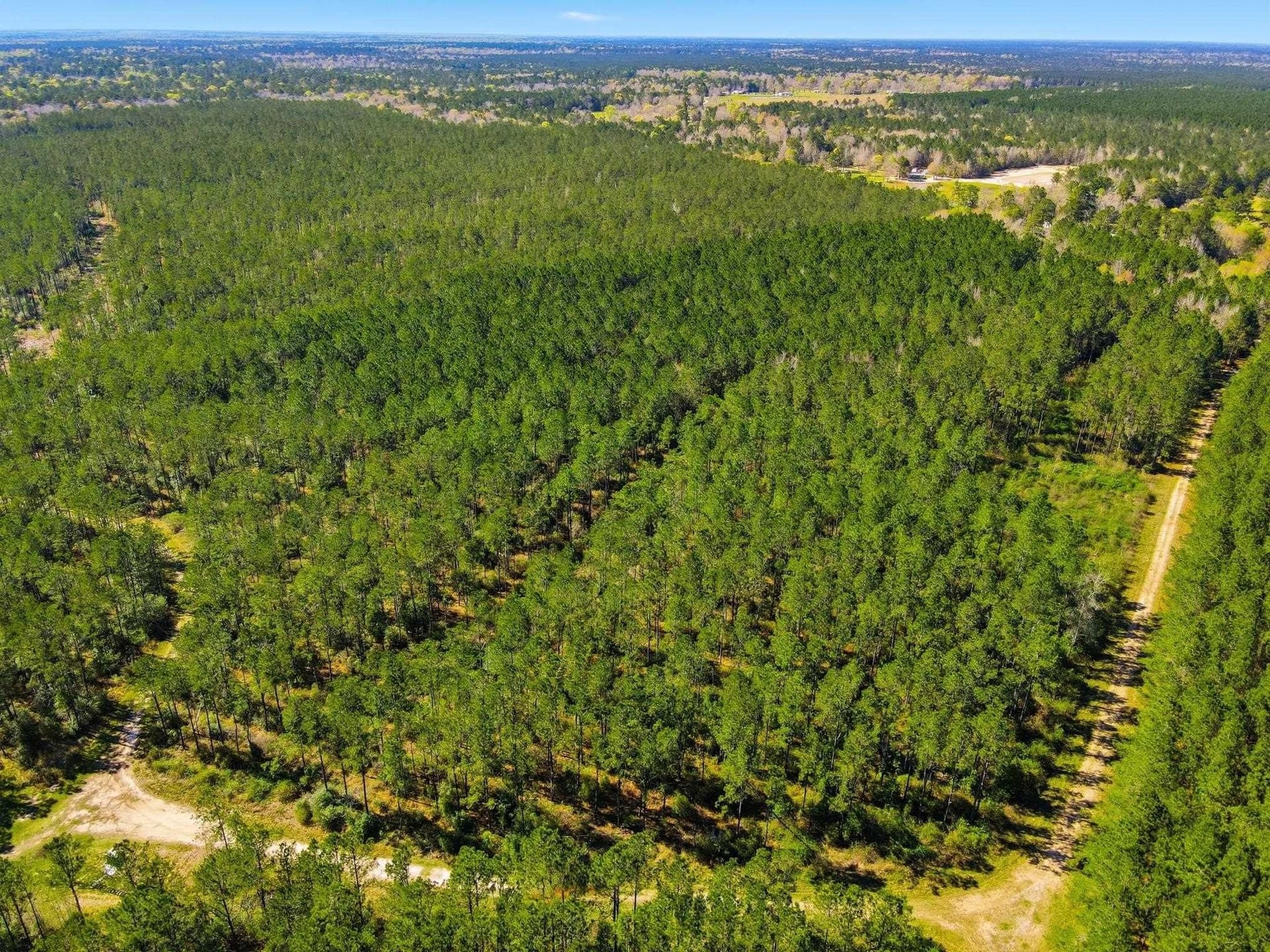 231.96 acres in Texas County - photo 6