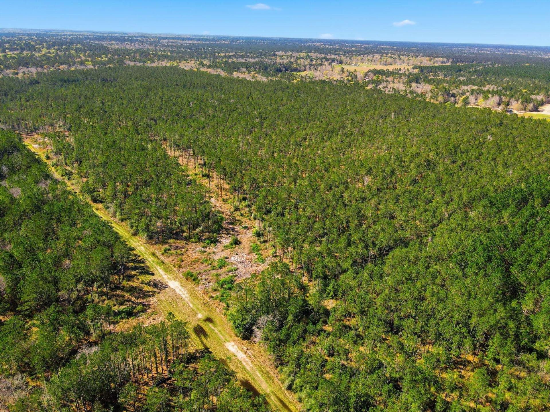 231.96 acres in Texas County - photo 7