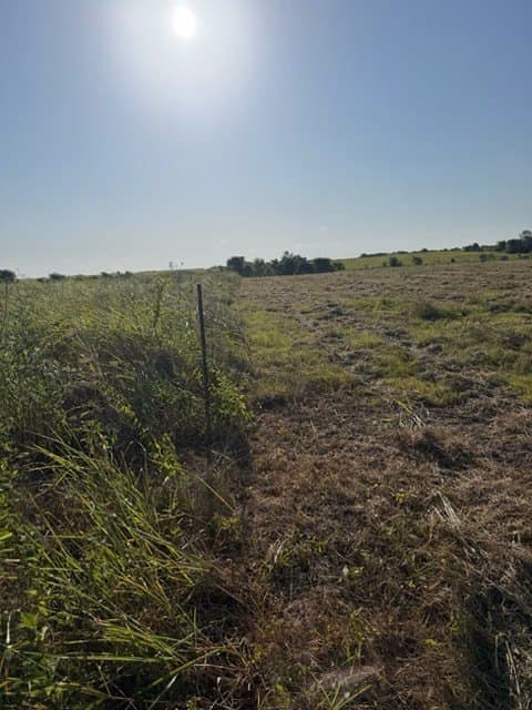 4 acres in Delta County - photo 6
