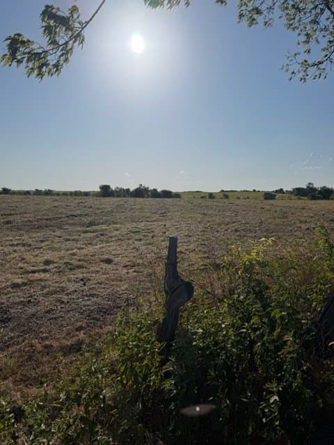4 acres in Delta County - photo 7