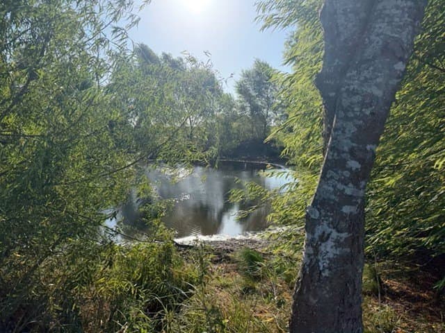 4 acres in Delta County - photo 5