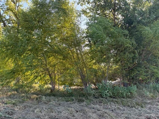 4 acres in Delta County - photo 4