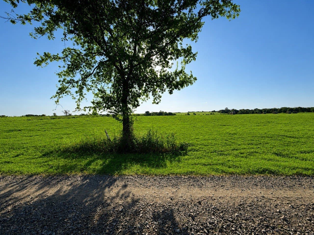 4 acres in Delta County - photo 2