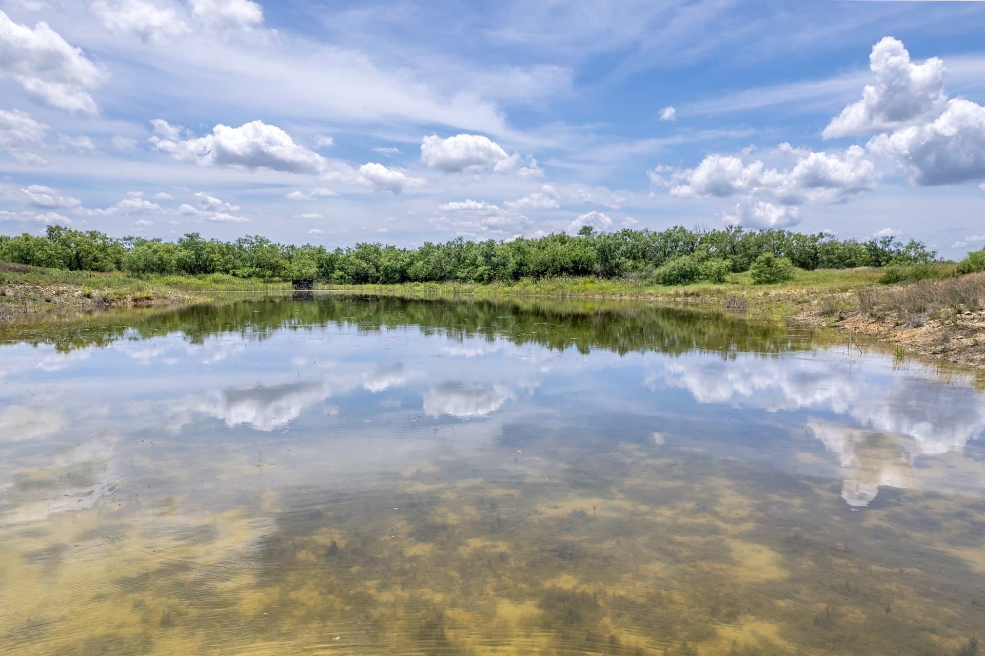 155 acres in Coleman County - photo 7