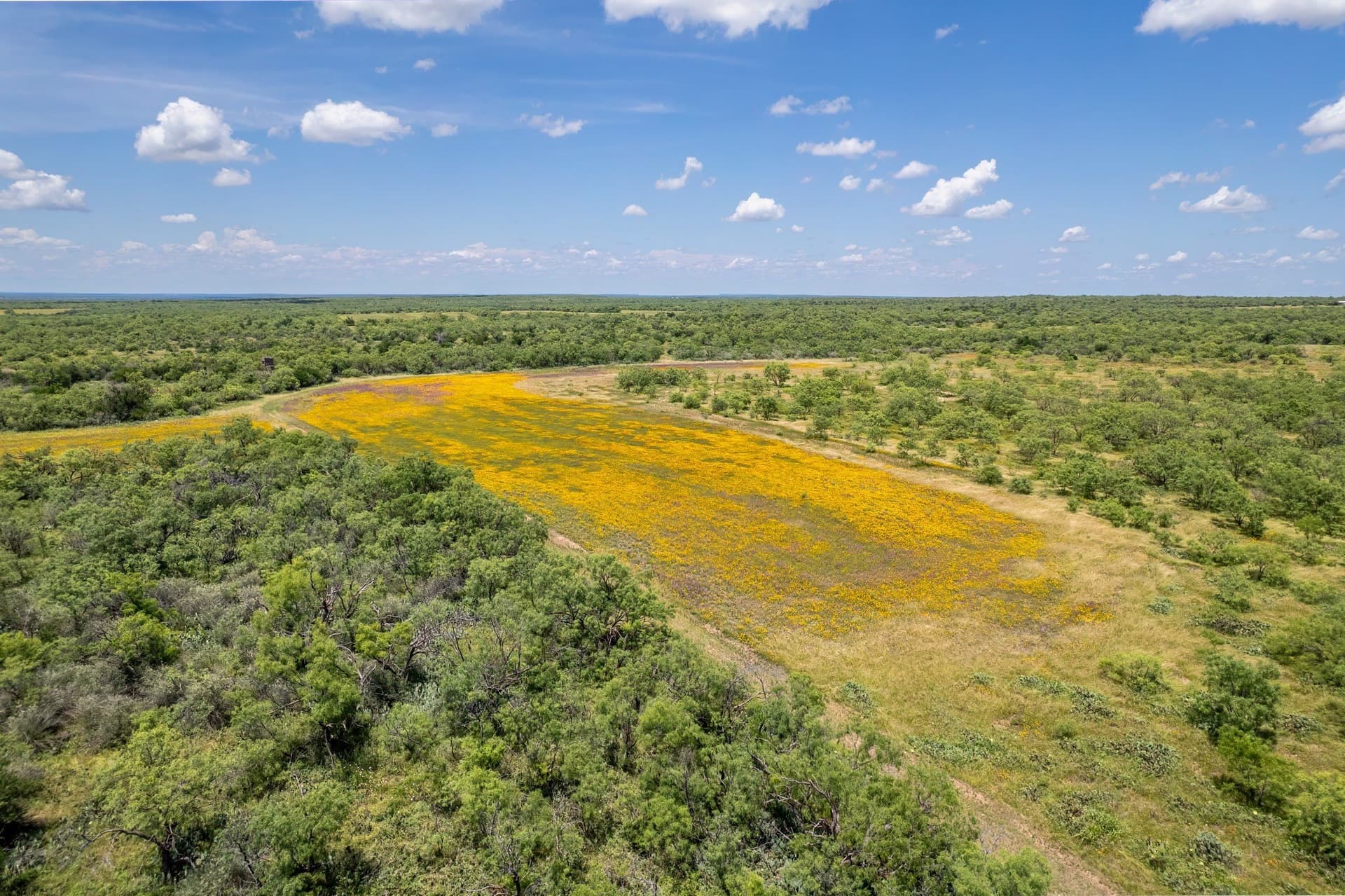 155 acres in Coleman County - photo 16