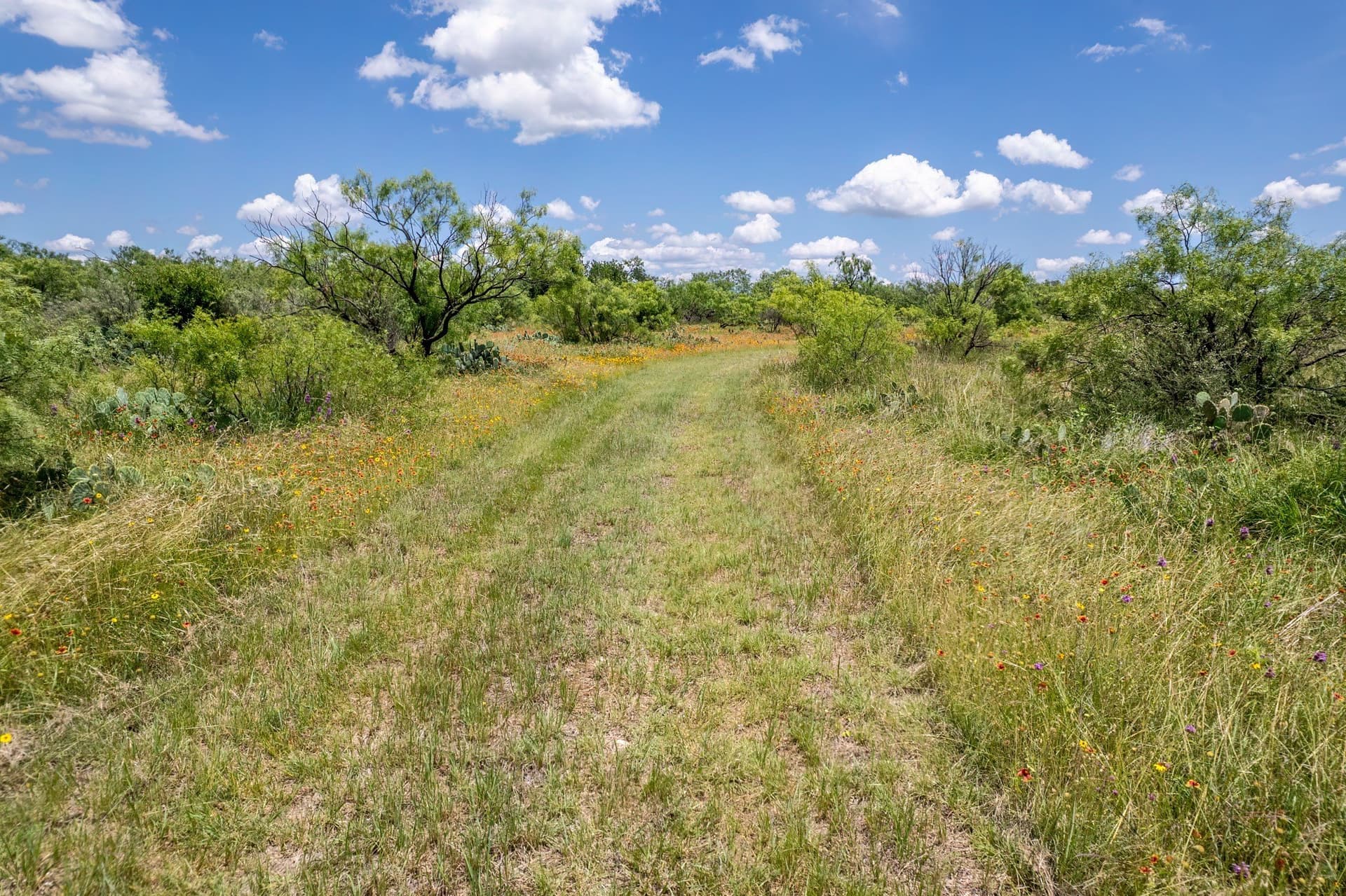 155 acres in Coleman County - photo 12