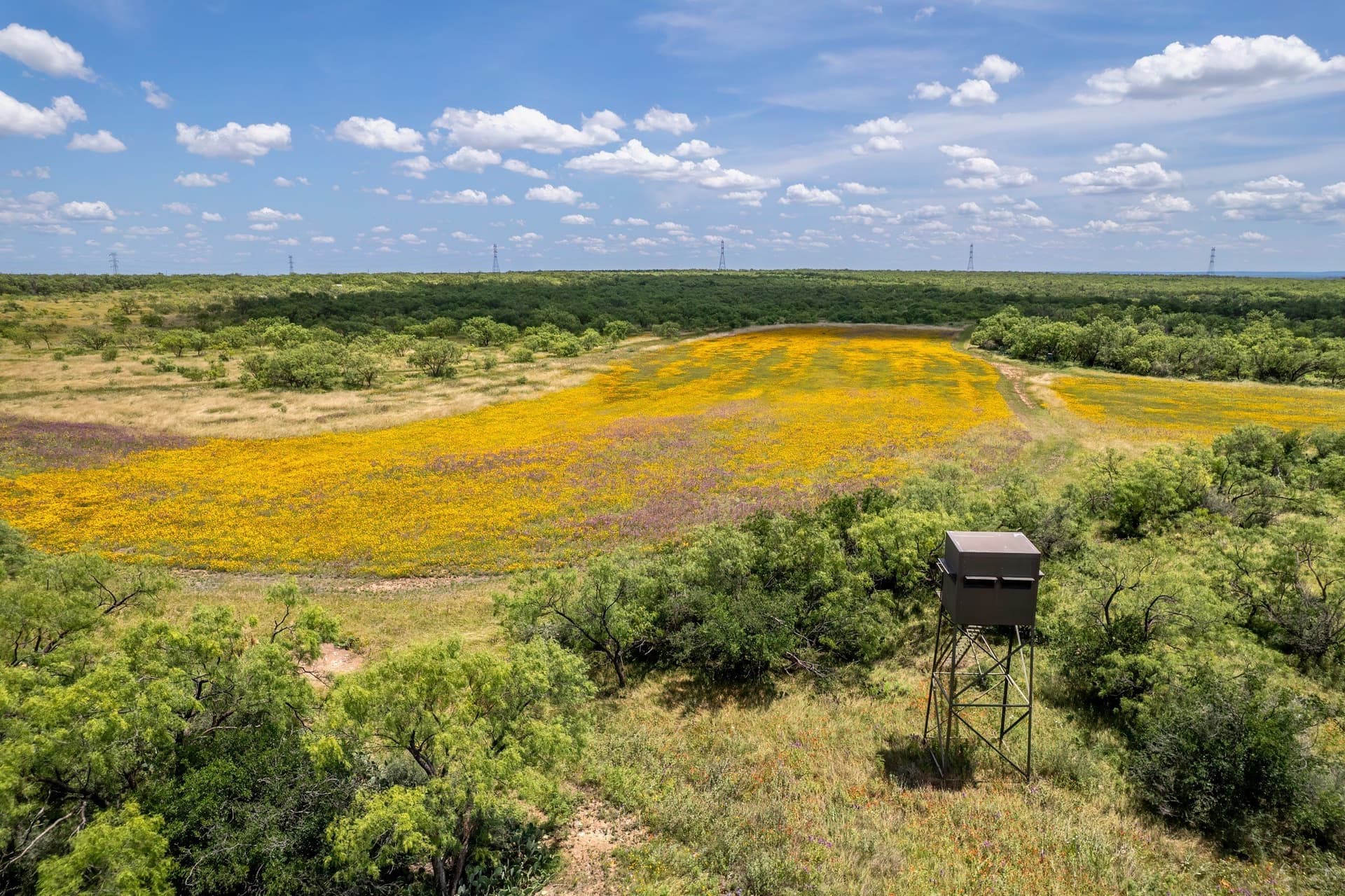155 acres in Coleman County - photo 17