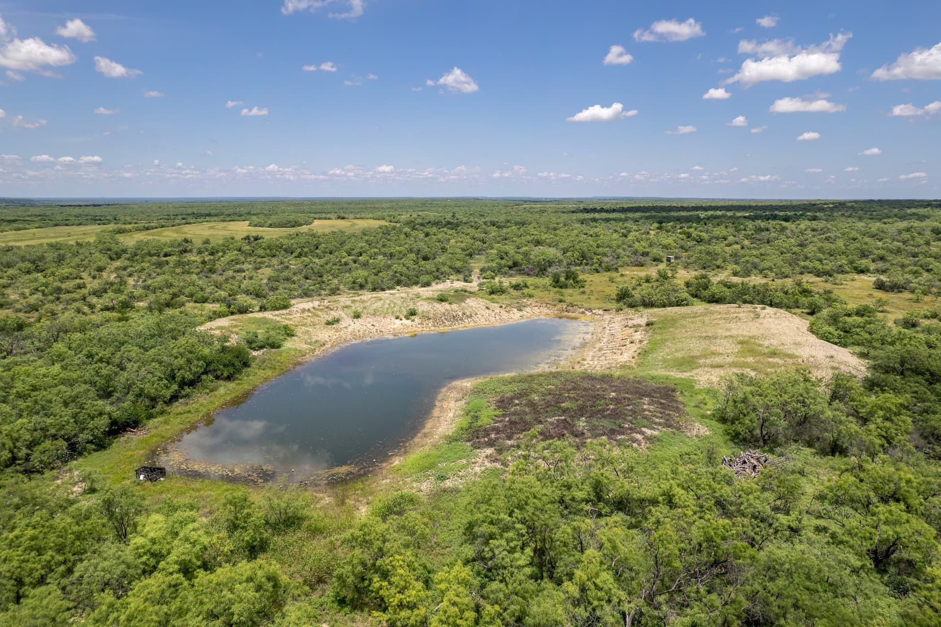 155 acres in Coleman County gallery image 3